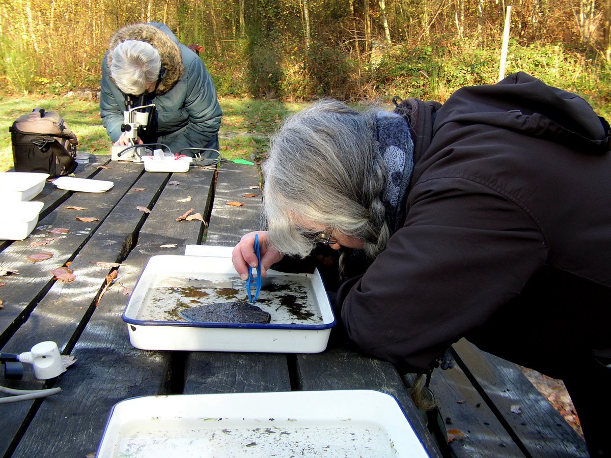 2011 11 Macrofaune benthique St Léger 09